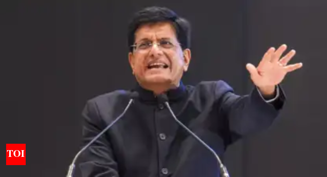 Goyal-Chinas-unfair-practices-to-blame-for-tariffs.jpg