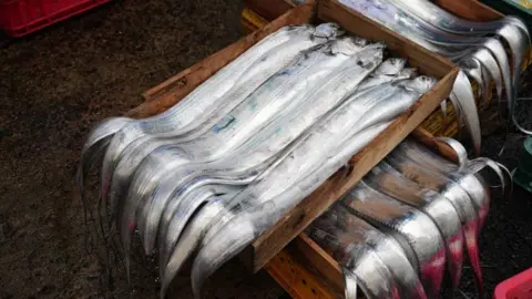 BBC/Hosu Lee Silvery hairtail fish are seen on wooden boxes on a concrete floor.
