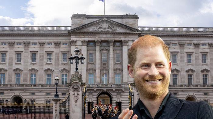 Palace takes bold stand for Prince Harry amid security fight